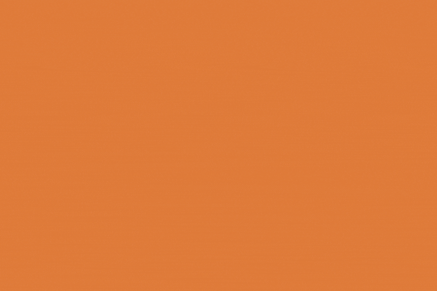 Nově v nabídce - DOPORUČUJEME